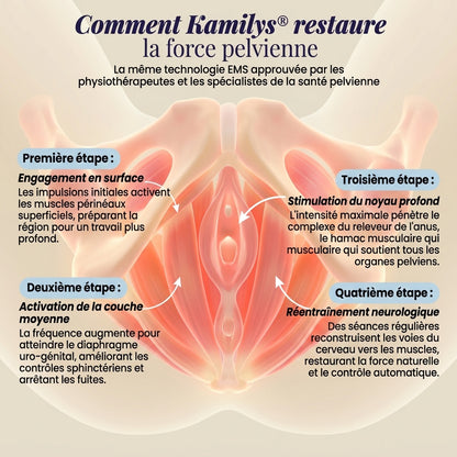 Kamilys® PelviPro